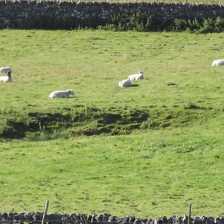 Curlew Barn Panzió Leyburn Kültér fotó