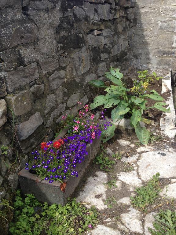Curlew Barn Panzió Leyburn Kültér fotó