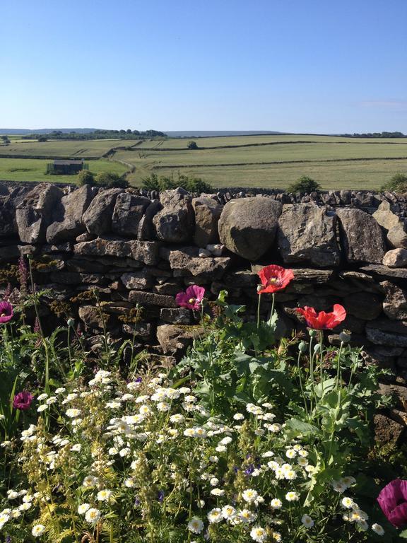 Curlew Barn Panzió Leyburn Kültér fotó
