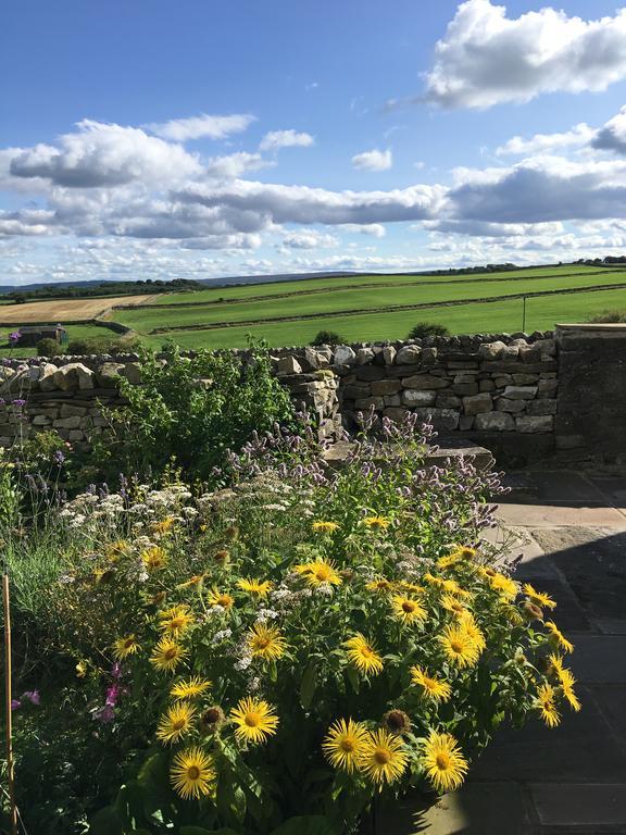Curlew Barn Panzió Leyburn Kültér fotó